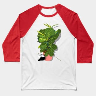 Cute tuxedo cat and Fiddle Leaf Fig Tree Copyright TeAnne Baseball T-Shirt